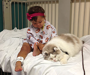 Love On 4 Paws, Animal Assisted Therapy - Los Angeles County California