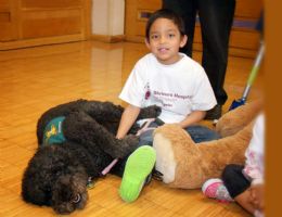 Pepper dog visiting a patient