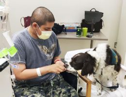 Pippin dog visiting a patient