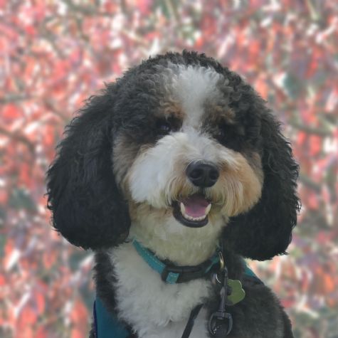 Benny