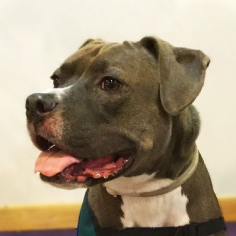 Ella