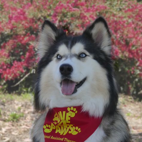 Luna