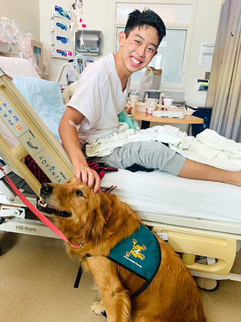Ryan and Animal Assisted Therapy dog