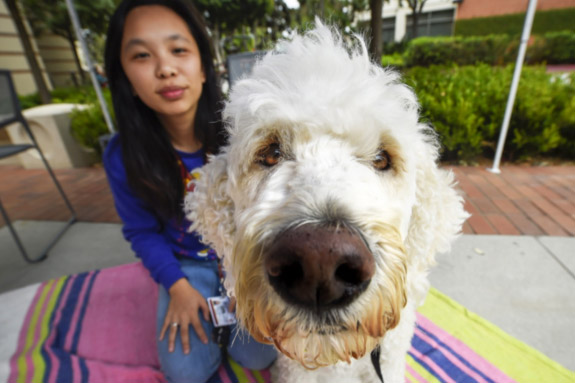 Girl with dog